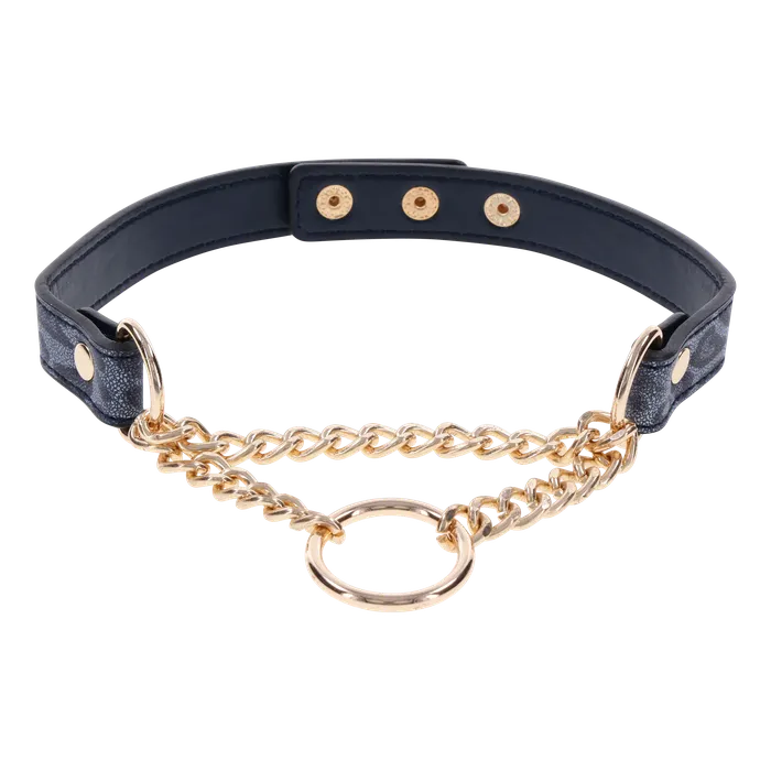 Cougar Day Collar BDSM Necklace Sportsheets Vibrators