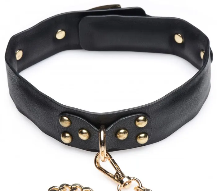 Anal XR Brands Master Series Black Gold Bondage Set